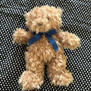 Adorable Barnes & Noble Bear